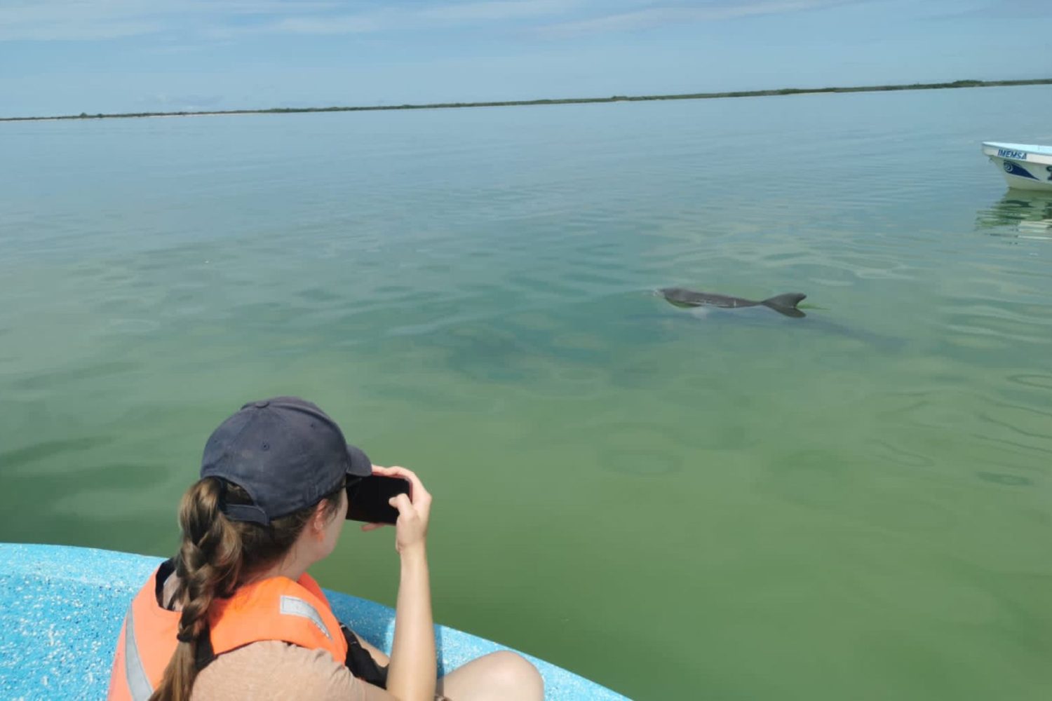 Dolphins in Sian Ka'an
